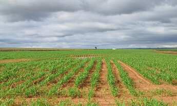 Imagem 2: FAZENDA A VENDA NA REGIÃO DE PRESIDENTE PRUDENTE-SP ?? EXCELENTE OPORTUNIDADE DE NEGÓCI