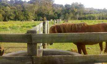 Imagem 3: Chácara à venda em Área Rural de Tatuí-SP: 2 quartos, 1 sala, 3 banheiros, 3 vagas, 150m²