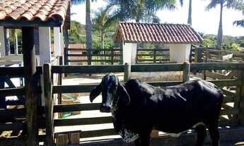 Imagem 6: Chácara à venda em Área Rural de Tatuí-SP: 2 quartos, 1 sala, 3 banheiros, 3 vagas, 150m²