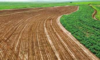 Imagem 3: FAZENDA A VENDA NA REGIÃO DE PRESIDENTE PRUDENTE-SP ?? EXCELENTE OPORTUNIDADE DE NEGÓCI