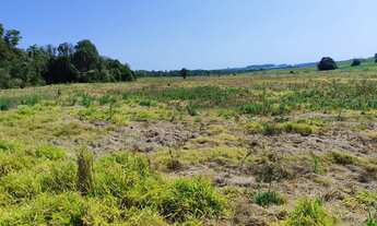 Imagem: Sítio à venda em Itapetininga-SP 1 quarto