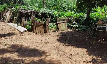 Imagem: Sítio 5 alqueires em casa branca 5 mil