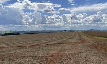 Imagem 4: Fazenda 99 Alqueires Formada em Lavoura e Pecuária Terra Vermelha a Mista Topografia P