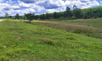 Imagem 2: Fazenda 294 Alqueires 200 Alqueires em Pasto Ótima Topografia Muito Boa em Água, Repres