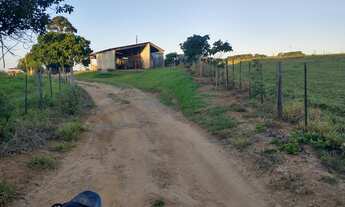 Imagem: Fazenda 99 Alqueires Formada em Lavoura