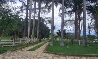 Imagem 4: Fazenda 95 Hectares dupla aptidão, Casa sede com salão de festas Piscina e churrasqueira