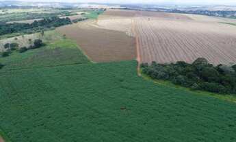 Imagem 3: Fazenda 99 Alqueires Formada em Lavoura e Pecuária Terra Vermelha a Mista Topografia P