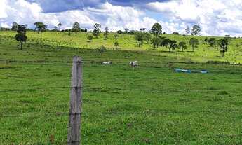 Imagem 6: Fazenda 294 Alqueires 200 Alqueires em Pasto Ótima Topografia Muito Boa em Água, Repres
