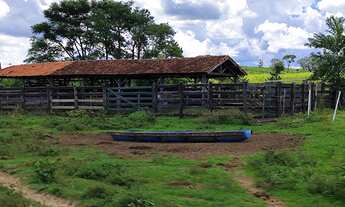 Imagem 5: Fazenda 294 Alqueires 200 Alqueires em Pasto Ótima Topografia Muito Boa em Água, Repres