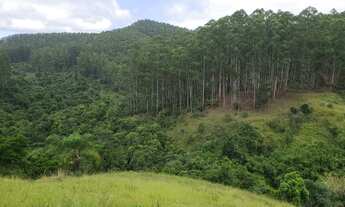 Imagem: Fazenda de Eucaliptos 241,88 Alqueires ou