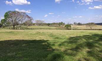 Imagem 7: Fazenda à venda em Itapetininga-SP: 3 quartos, 1 suíte, 3 salas, 2 banheiros, 3 vagas de g