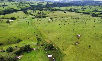 Imagem: Fazenda - 445 alqueires goiano - 30 km de