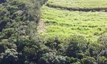 Imagem 3: Sitio 19 Alqueires - Aproveitamento de 13 Alqueires - Boa Topografia - Ribeirão com