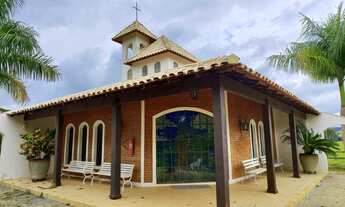 Imagem 5: Sitio 25 Alqueires - 20 Alqueires em Pasto - Terra Vermelha - Topografia Plana e Semi Pl