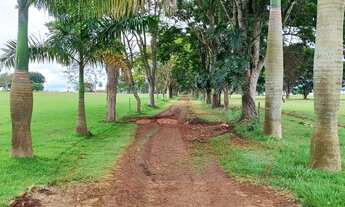 Imagem 2: Sitio 25 Alqueires - 20 Alqueires em Pasto - Terra Vermelha - Topografia Plana e Semi Pl