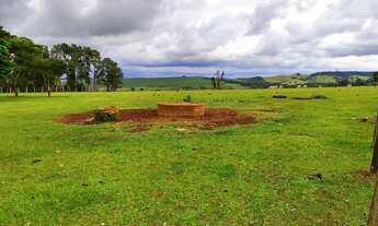 Imagem 4: Sitio 25 Alqueires - 20 Alqueires em Pasto - Terra Vermelha - Topografia Plana e Semi Pl