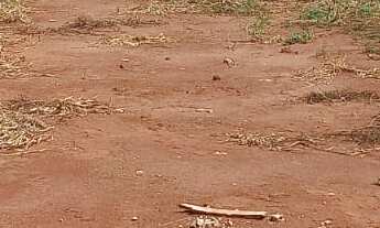 Imagem 2: Terreno à Venda no Jardim dos Manacás. Santa Bárbara D?Oeste/SP ? Simule o seu financiame