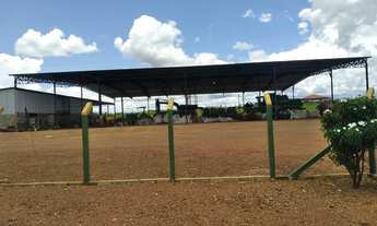 Imagem 2: Fazenda 392 Alqueires ? Documentação excelente ? Plantando 700 hectares ?Tem capacidade d