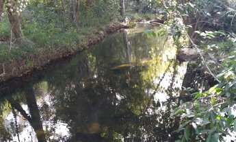 Imagem 3: Fazenda 392 Alqueires ? Documentação excelente ? Plantando 700 hectares ?Tem capacidade d