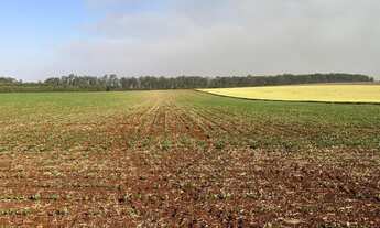 Imagem 2: EXCELENTE FAZENDA A VENDA NA REGIÃO DE PIRAJU-SP ?? Localizada no Município de Bernardin