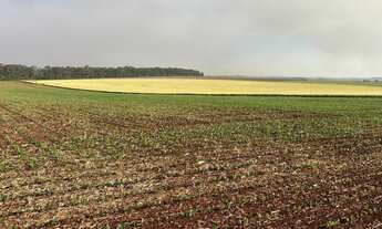 Imagem 3: EXCELENTE FAZENDA A VENDA NA REGIÃO DE PIRAJU-SP ?? Localizada no Município de Bernardin