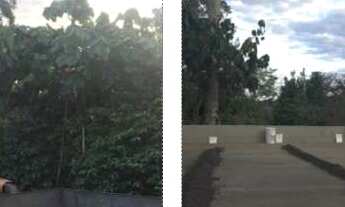 Imagem 3: Chácara de luxo à venda em Morungaba-SP, na Vila Minha Pátria: 3 quartos, 2 suítes, 3 sala