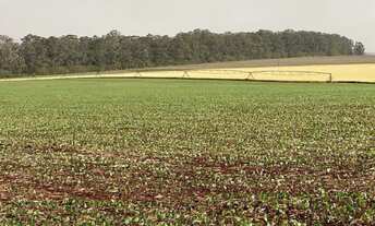 Imagem: EXCELENTE FAZENDA A VENDA NA REGIÃO DE