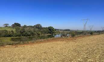 Imagem 5: Oportunidade de negócio uma área rural em Avaré, são 177 alqueires sendo que a última a