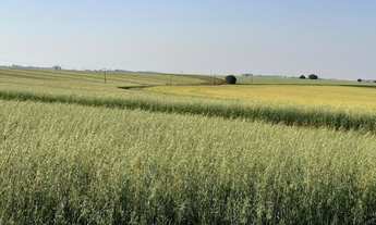 Imagem 7: EXCELENTE FAZENDA A VENDA NA REGIÃO DE PIRAJU-SP ?? Localizada no Município de Bernardin