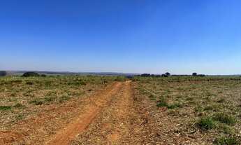 Imagem 6: Oportunidade de negócio uma área rural em Avaré, são 177 alqueires sendo que a última a