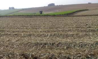 Imagem 2: Fazenda à venda em Sorocaba-SP: 1 quarto, 1 banheiro, 1.016.400,00 m² na Área Rural de Sor