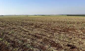 Imagem 4: EXCELENTE FAZENDA A VENDA NA REGIÃO DE PIRAJU-SP ?? Localizada no Município de Bernardin