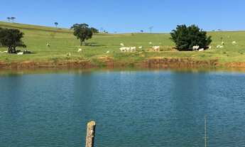Imagem: Fazenda de Luxo à Venda em Corumbá de