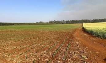Imagem 6: EXCELENTE FAZENDA A VENDA NA REGIÃO DE PIRAJU-SP ?? Localizada no Município de Bernardin