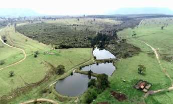 Imagem: EXCELENTE OPORTUNIDADE DE NEGÓCIO FAZENDA