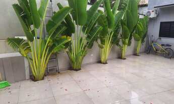 Imagem 5: Casa em Condomínio à Venda em Sumaré-SP, bairro Estância Árvore da Vida: 3 quartos, 1 suít