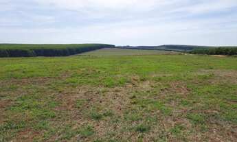 Imagem: FAZENDA A VENDA NA REGIÃO DE BAURU-SP