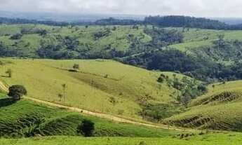Imagem: FAZENDA A VENDA EM CAPÃO BONITO-SP Área