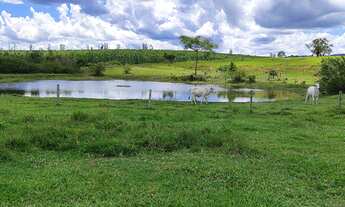 Imagem 5: EXCELENTE OPORTUNIDADE DE NEGÓCIO ? FAZENDA A VENDA NA REGIÃO DE BOTUCATU-SP ?? Área T