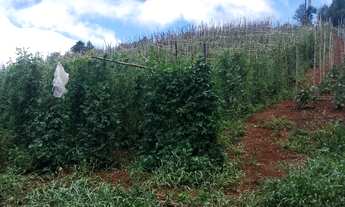 Imagem 5: OPORTUNIDADE DE NEGÓCIO FAZENDA A VENDA SITUADA EM GUAPIARA-SP ?? Área Total 53 Alqueir