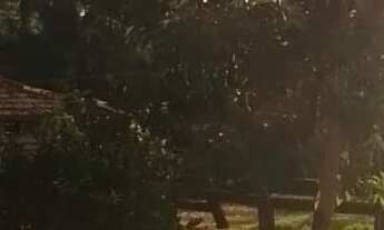 Imagem 5: Imperdível: Sitio à venda em Tatuí-SP com 2 quartos, 2 salas, 1 banheiro, 3 vagas de garag