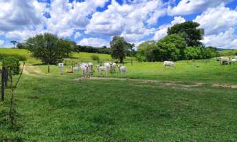 Imagem 4: EXCELENTE OPORTUNIDADE DE NEGÓCIO ? FAZENDA A VENDA NA REGIÃO DE BOTUCATU-SP ?? Área T