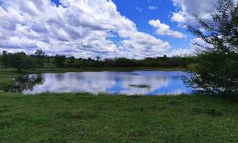 Imagem 6: EXCELENTE OPORTUNIDADE DE NEGÓCIO ? FAZENDA A VENDA NA REGIÃO DE BOTUCATU-SP ?? Área T