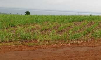 Imagem 3: Fazenda de 500 Alqueireis paulistas, sem benfeitorias, plantada em cana sai R$ 4.000,00 o