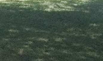 Imagem 6: Imperdível: Sitio à venda em Tatuí-SP com 2 quartos, 2 salas, 1 banheiro, 3 vagas de garag