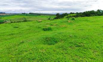 Imagem 7: EXCELENTE SÍTIO A VENDA NA REGIÃO DE ITAPETININGA-SP ?? Área Total: 17,7 Alqueires Pas