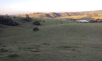 Imagem 3: EXCELENTE SÍTIO A VENDA NA REGIÃO DE ITAPETININGA-SP ?? Área Total: 17,7 Alqueires Pas