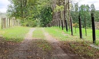 Imagem 3: EXCELENTE SÍTIO A VENDA EM ITAPETININGA-SP ?? Área Total: 22 Hectares ou 9,09 Alqueires