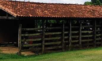 Imagem 7: EXCELENTE SÍTIO A VENDA EM ITAPETININGA-SP ?? Área Total: 22 Hectares ou 9,09 Alqueires