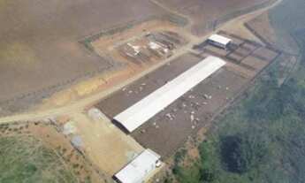 Imagem: EXCELENTE FAZENDA COM SISTEMA DE CONFINAMENTO